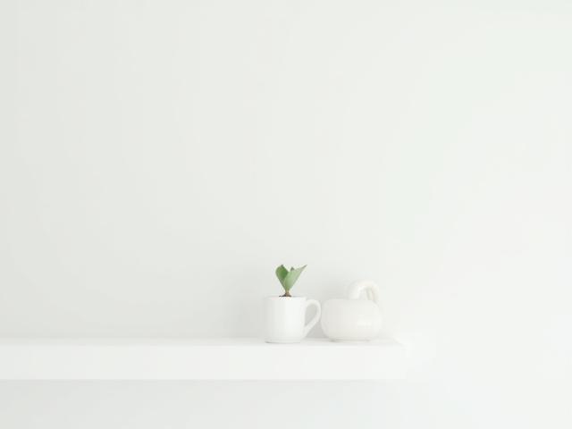 Simple, unglazed ceramic cup on a white minimalist shelf next to a single green plant, showing clean aesthetic.